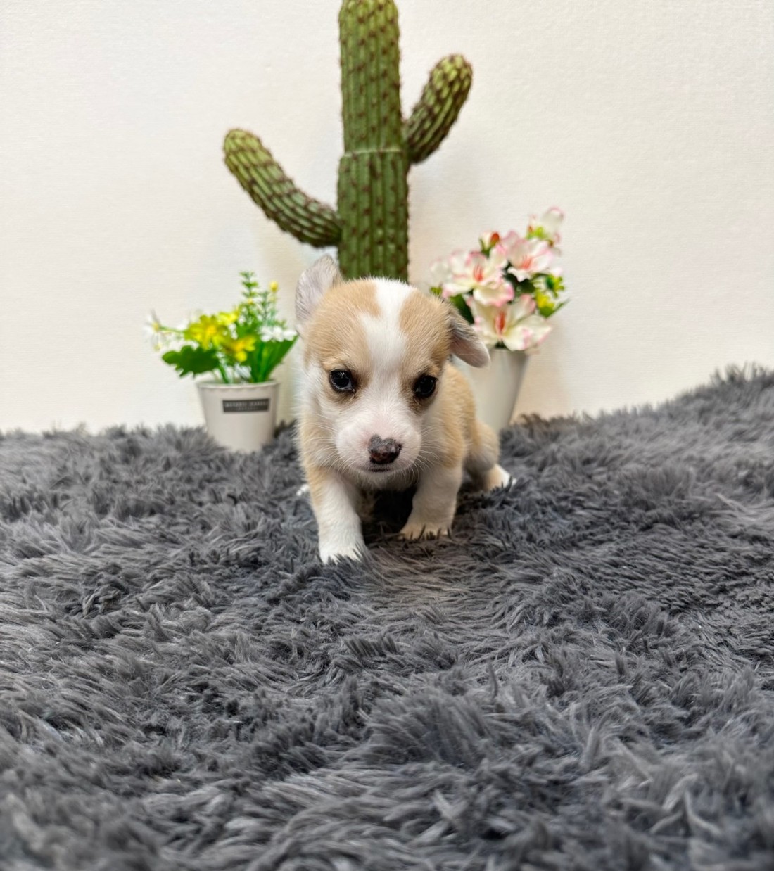 2072d6b01261a80df4edfb4de03a63be_1750848414_8479.jpg