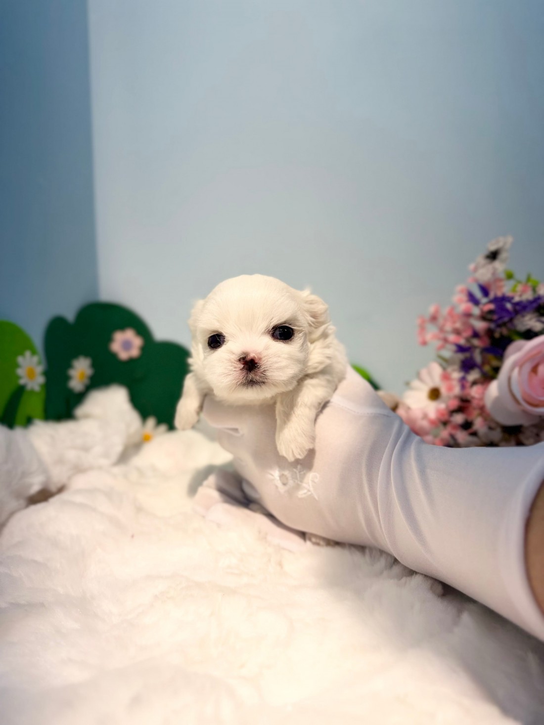 c27b4c2c1ce2a40d71f98dc7c3fd4354_1770738389_0918.jpg